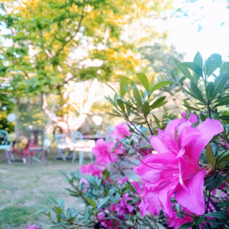 LimerayDomaine De La Clef Des Champs住宿加早餐旅馆 外观 照片